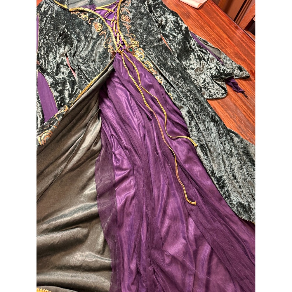 Disney Hocus Pocus Winifred Sanderson Costume Green Velvet Dress Plus 1X Spirit - Picture 10 of 14